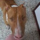 soy muy lindo y estoy buscando novia..